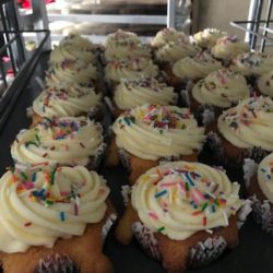 Vanilla Cupcakes